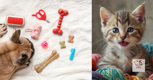 Top 10 des accessoires pour propriétaires de chiens et chats : jouets, brosses et soins pour vos animaux.