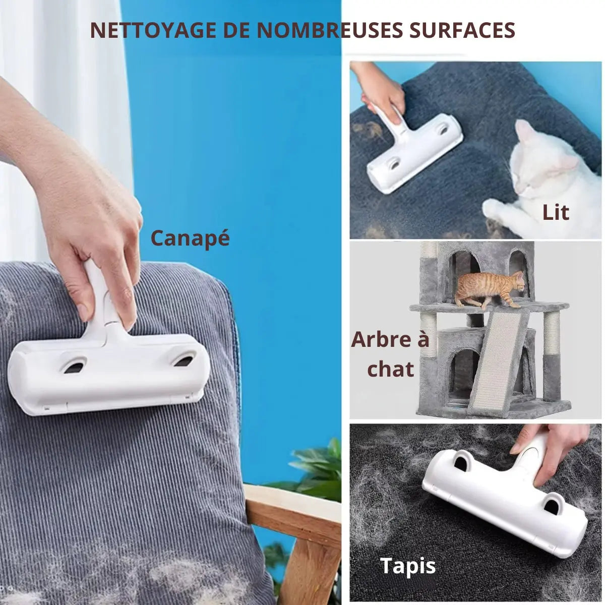 Brosse anti-poils Animours