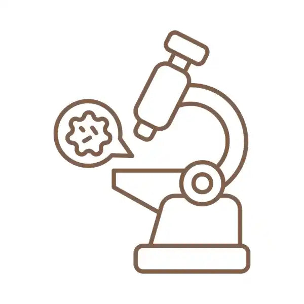 Zoom sur le pelage d'un animal et sur les textiles, illustrant l'expertise biologique Animours pour un brossage adapté.