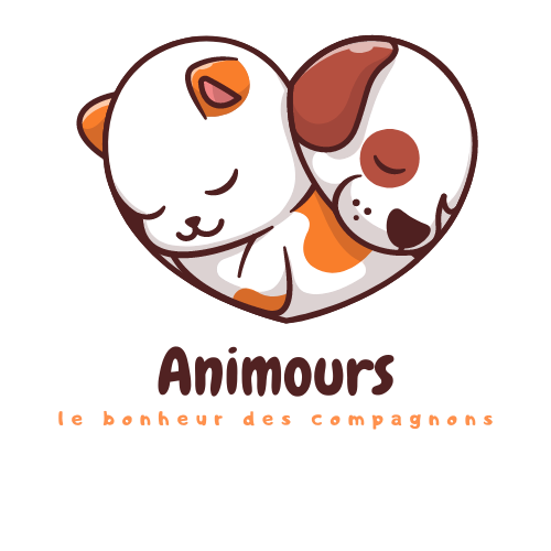 Animours 