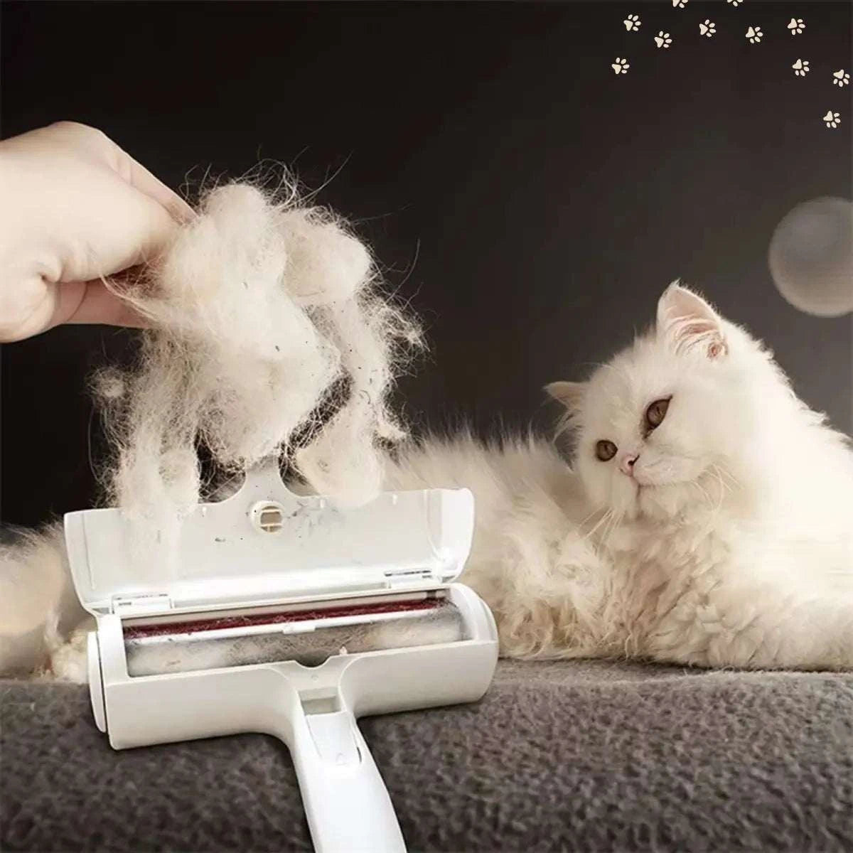 Nettoyage de la zone de stockage de la Brosse Anti-Poils Animours réutilisable pour canapés et tapis sans rouleaux jetables de couleur blanche