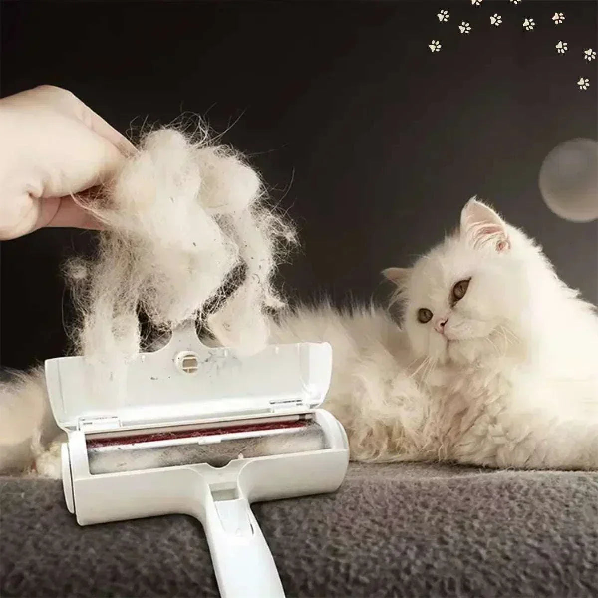 Nettoyage de la zone de stockage de la Brosse Anti-Poils Animours réutilisable pour canapés et tapis sans rouleaux jetables de couleur blanche